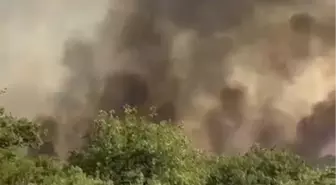 Kocaeli'de Orman Yangını: Ekipler Seferber Oldu