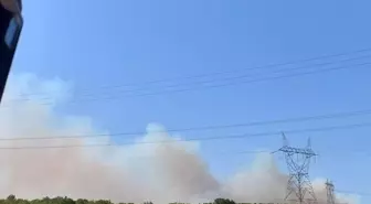 Kocaeli'nin Gebze İlçesinde Orman Yangını