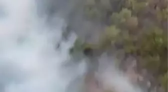 Konya'daki Orman Yangını Kontrol Altına Alındı