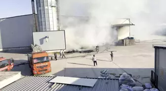 Sakarya'da Mobilya Fabrikasında Yangın