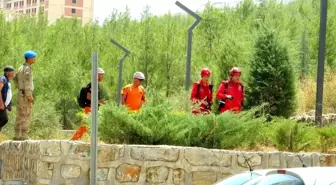 Alzheimer Hastası Sabriye Dedeoğlu'nun Kayboluşunun Üzerinden 1 Yıl Geçti
