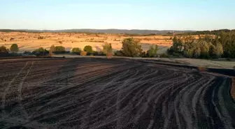 Tekirdağ'da Tarla Yangını Kontrol Altına Alındı