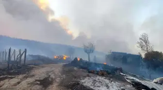 Tekirdağ'da Orman Yangını: İki Mahalle Boşaltıldı