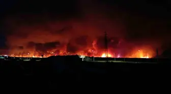 Tekirdağ'da Orman Yangını Paniğe Neden Oldu