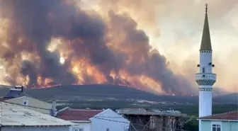 Tekirdağ'da Orman Yangını: 2 Mahalle Tahliye Edildi