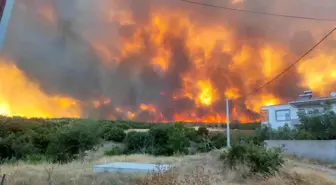 Tekirdağ'ın Şarköy İlçesinde Orman Yangını: Yerleşim Alanları Tehlikede