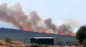 Bursa'da İki Ayrı Orman Yangınına Hareketli Müdahale
