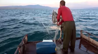 Van Gölü'nde İnci Kefali Av Sezonu Başladı