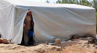 Adana'da Eşinin Terk Ettiği Baba, Çocuklarıyla Ormanda Yaşıyor