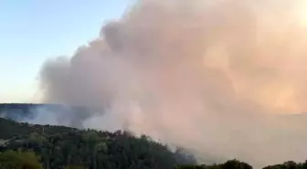 Balıkesir'de Orman Yangınına Müdahale Devam Ediyor