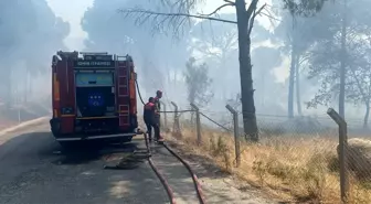 Bergama'da Anız Yakımı Yangına Neden Oldu: 16 Hektar Alan Küle Döndü