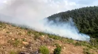 Bilecik'te İkinci Orman Yangını Kısa Sürede Söndürüldü