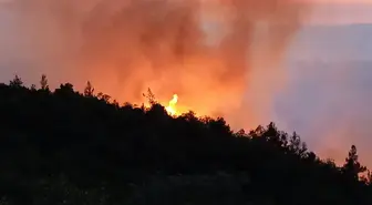 Balıkesir'de Orman Yangınına Havadan Müdahale Sona Erdi