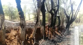 Isparta'da Hobi Bahçesindeki Yangın Yulaf Tarlalarına Sıçradı