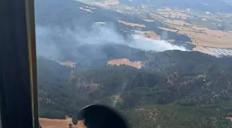 Bolu'da Orman Yangını: Ekipler Mücadele Ediyor