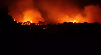 Çanakkale'de Orman Yangını Tuzla Köyü'nde Zarar Verdi