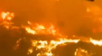 Çanakkale ve Tekirdağ'da Orman Yangınlarıyla Mücadele Sürüyor