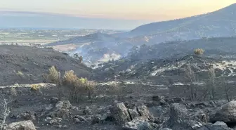 Çanakkale'de Orman Yangınına Havadan ve Kardan Müdahale