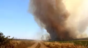 Şarköy Yangını Gelibolu'ya Ulaştı, Otoyol Geçici Olarak Kapatıldı
