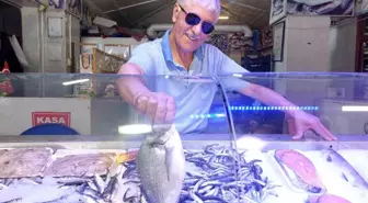 Eskişehir'de Balık Satışı Artıyor: Sardalya ve Kefal Zamanı