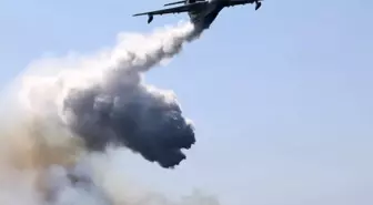 Kocaeli'de Orman Yangını Kontrol Altına Alındı