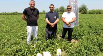 Hem hastalıklardan kurtuldular hem verimi artırdılar