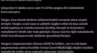 Tekirdağ'da Orman Yangını Kontrol Altına Alınmaya Çalışılıyor