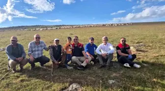 Tarım ve Orman Müdürü Enver Aydın Yaylalarda İncelemelerde Bulundu