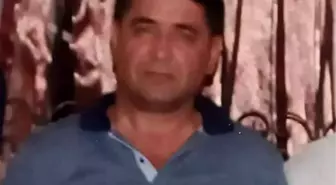 Kene Isırığı Nedeniyle Hayatını Kaybedenlerin Sayısı Artıyor