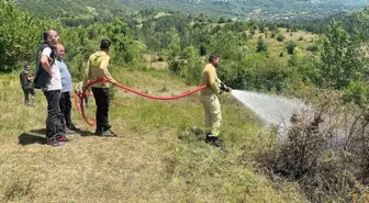 Bartın'da Yüksek Gerilim Hattından Kopan Tel Yangına Sebep Oldu