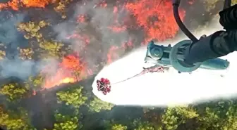 Manisa'da Orman Yangını: İki Kişi Gözaltında