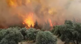 Manisa'da Orman Yangını 20 Saatte Kontrol Altına Alındı