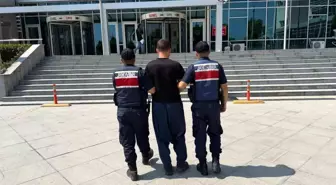 Mersin Tarsus'ta Orman Yangınları: 1 Şüpheli Tutuklandı