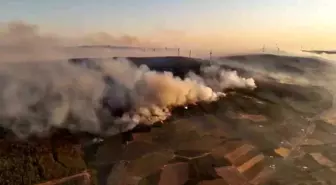 Tekirdağ'da Orman Yangınına Müdahale Devam Ediyor
