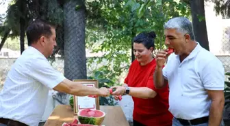 Adanalılar, Karpuz Tartışmalarına Tepki Gösterdi