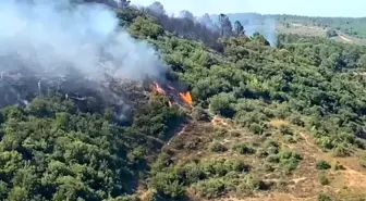 Sultangazi Kent Ormanı'nda Yangın: Ekipler Müdahale Etti