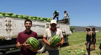 Osmaneli Karpuzunda Fiyatlar Üreticiyi Üzüyor