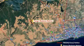 TREDAŞ'tan Orman Yangını Açıklaması: Elektrik Hattı Yok