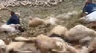 Yıldırım, Tunceli'de 200 Küçükbaşı Telef Etti