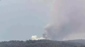 Muğla'nın Yatağan İlçesinde Yıldırım Kaynaklı Orman Yangını