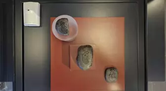 Diyarbakır'ın 12,500 Yıllık Logo Adayı