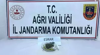 Ağrı'da Uyuşturucu Operasyonları: 511 Kök Kenevir ve 50 Gram Esrar Ele Geçirildi