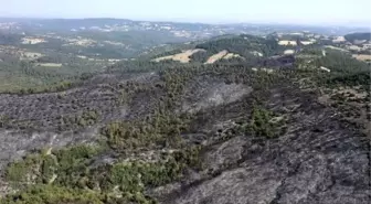 Balıkesir'de Yangın Havadan Görüntülendi