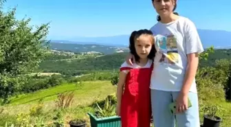 Kocaeli'de Trafik Kazası Davasında Uyuşturucu Bulgusu