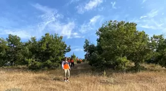 Yozgat'ta Kayıp Alzheimer Hastası İçin Arama Çalışmaları Devam Ediyor