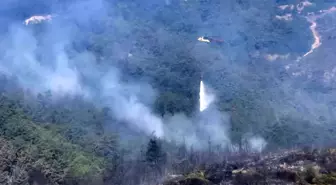 Balıkesir'de Orman Yangınına Havadan Müdahale Başladı