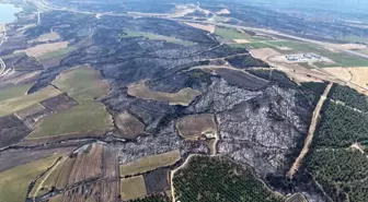 Tekirdağ'da Çıkan Orman Yangını Kontrol Altına Alındı