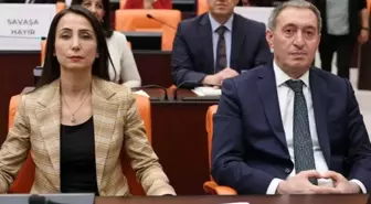 DEM Parti'den Demirtaş'a ziyaret: Arkadaşlarımızın serbest bırakılması gerekiyor