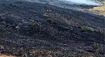 Elazığ'da Arazide Yangın: Müdahaleler Devam Ediyor