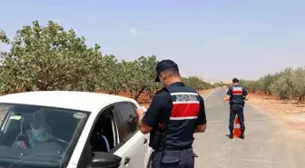 Gaziantep'te Fıstık Hasadı Öncesi Hırsızlık Denetimleri Başladı